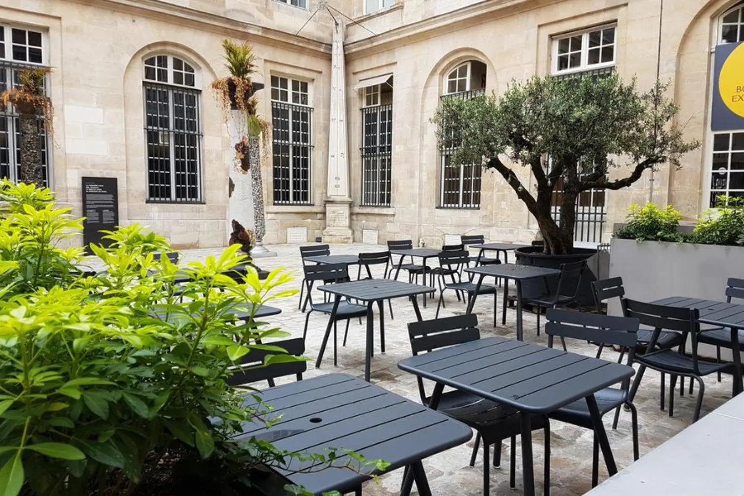 Frappé par Bloom - Paris (Paris)