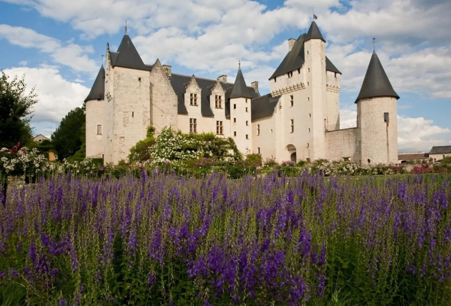 Château du Rivau - Lémeré (Indre-et-Loire)
