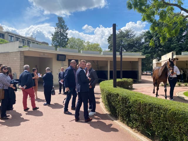 Visite d'un hippodrome et/ou des obstacles - Paris (Paris)