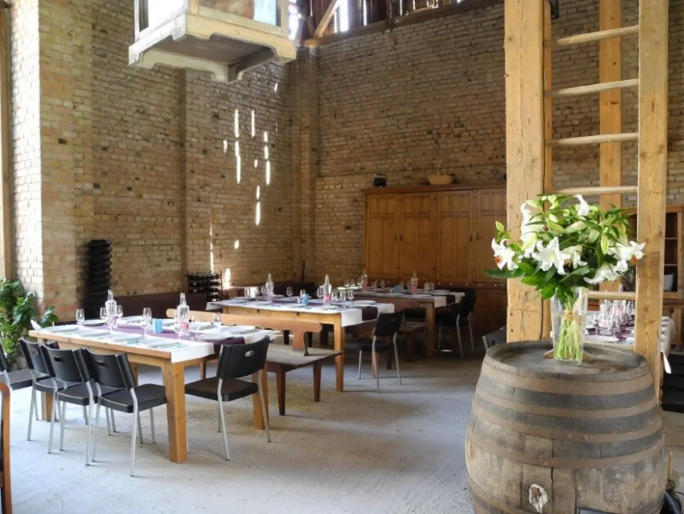 Théâtre du Vin - Strasbourg (Bas-Rhin)