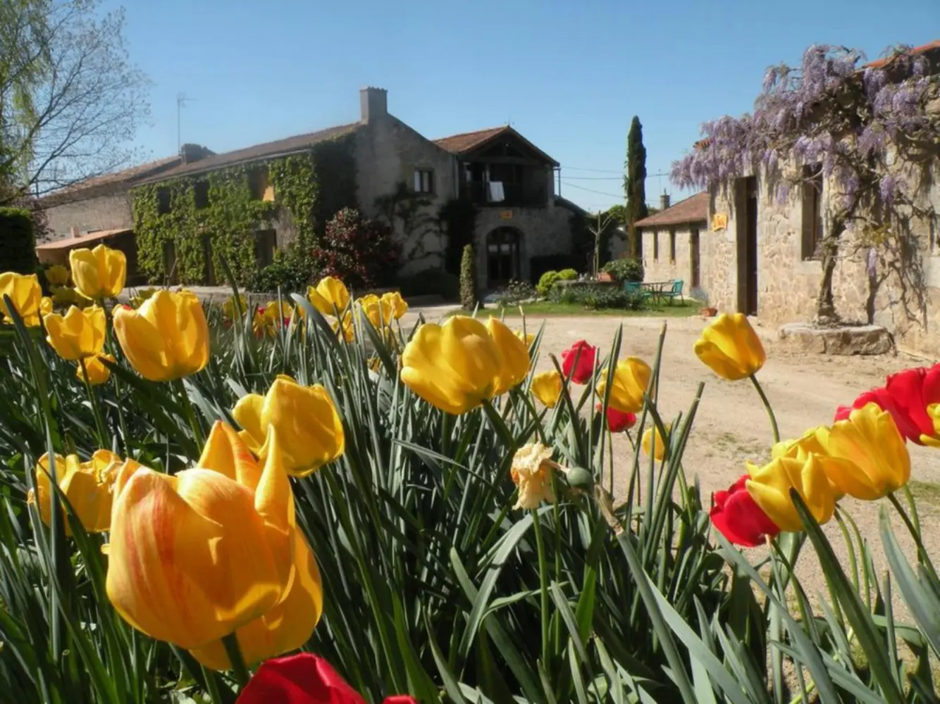 La Raymondière - Vernoux-en-Gâtine (Deux-Sèvres)