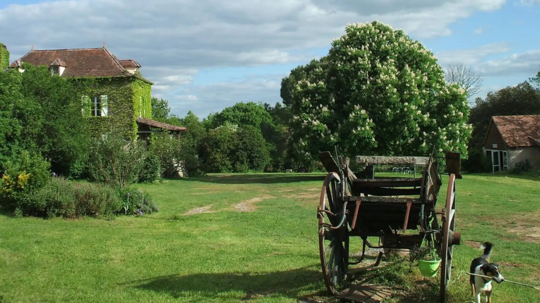 Domaine de Gayfié - Saint-Jean-de-Laur (Lot)