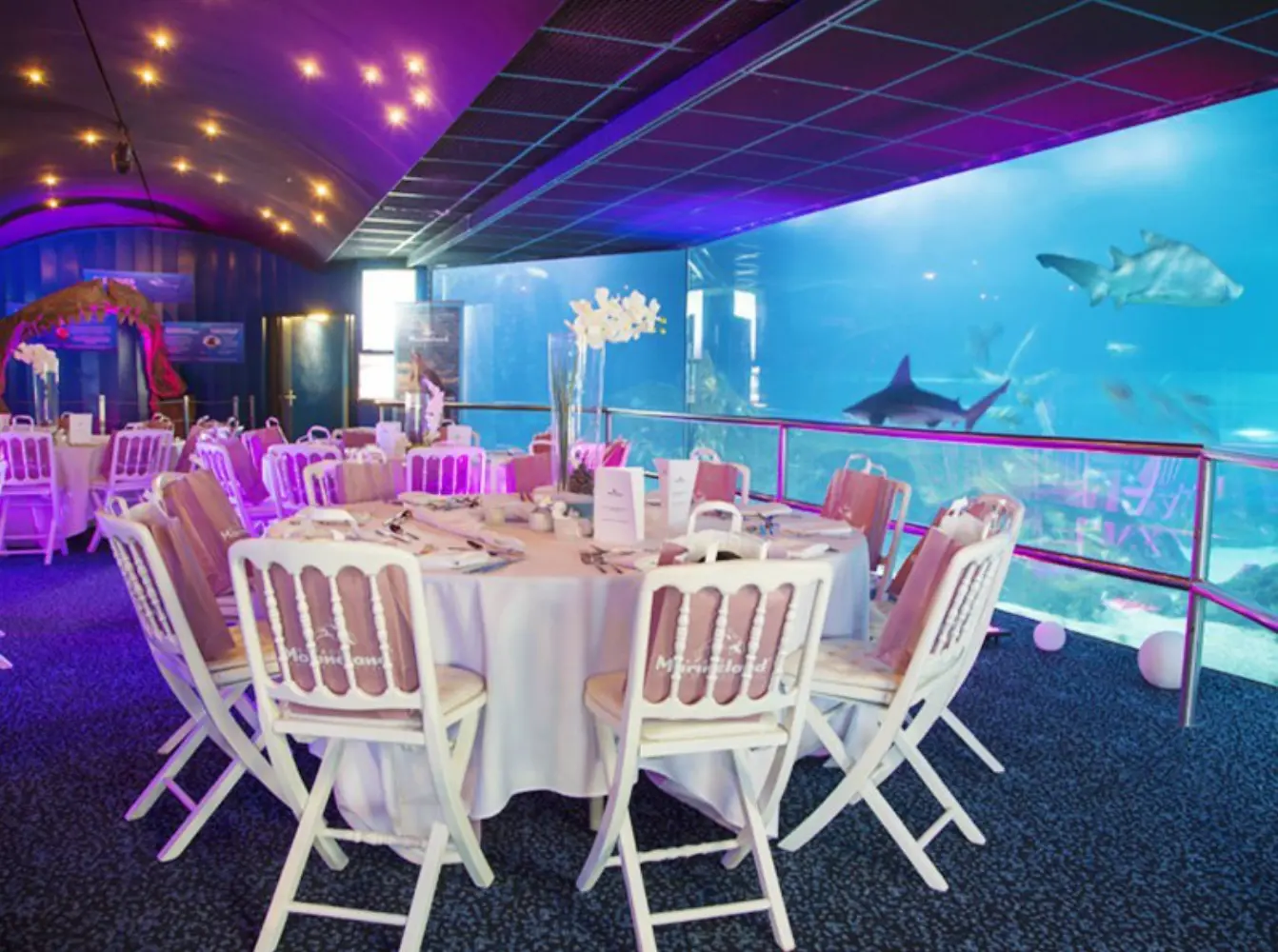 Marineland - Antibes (Alpes-Maritimes)