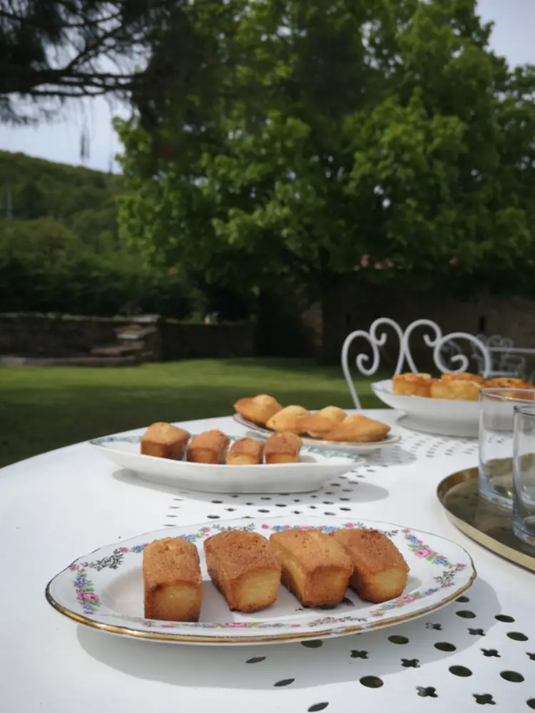 Tomette Singulière - Château (Saône-et-Loire)