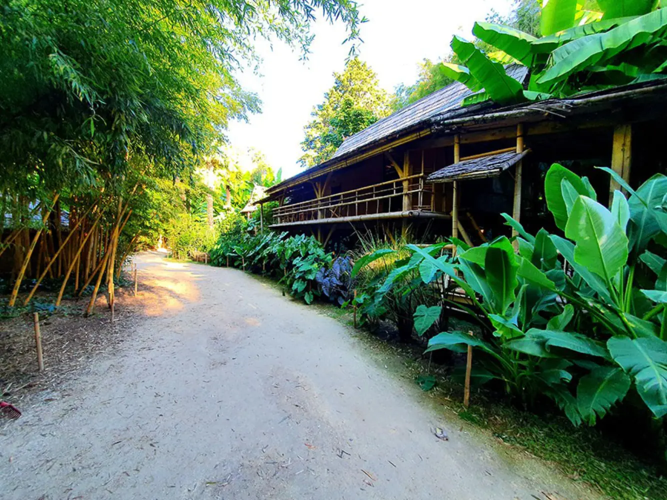 La Bambouseraie - Générargues (Gard)