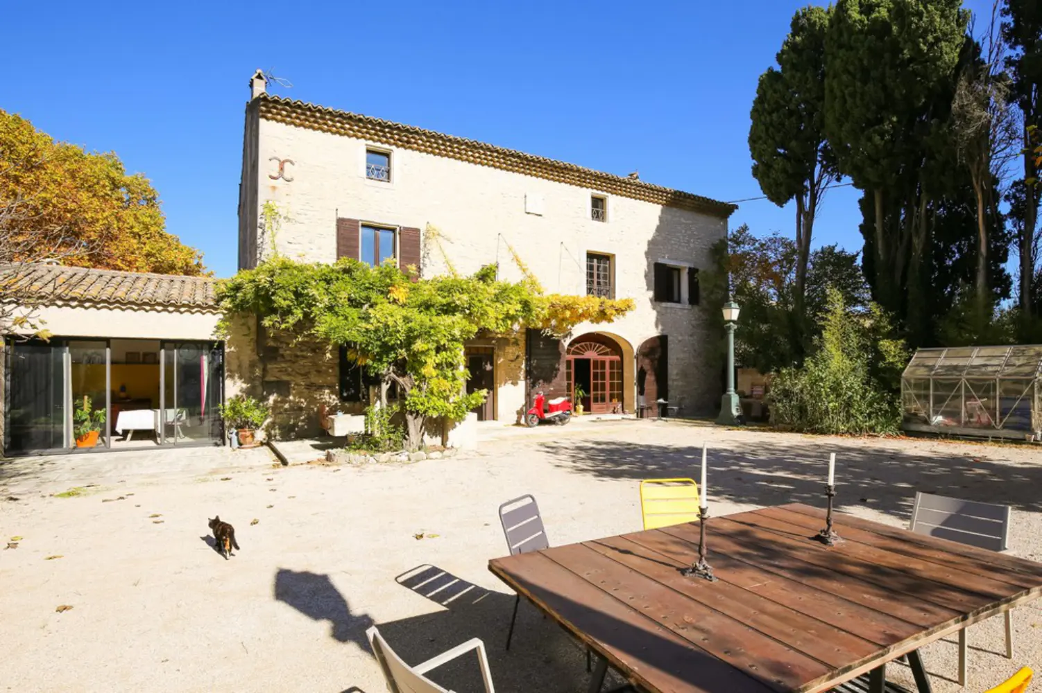Rémy à dit ! - Saint-Rémy-de-Provence (Bouches-du-Rhône)