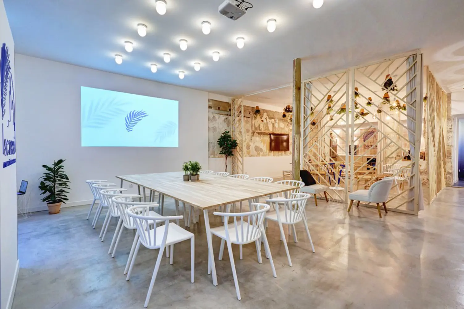 Senssi - Marseille (Bouches-du-Rhône)