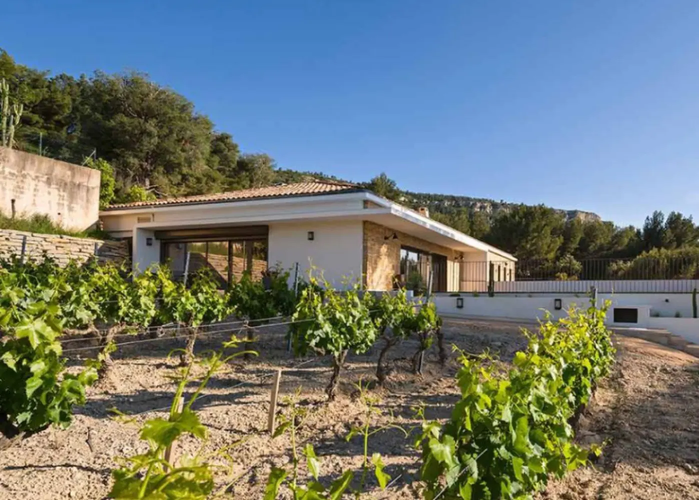 La Dona Tigana - Cassis (Bouches-du-Rhône)