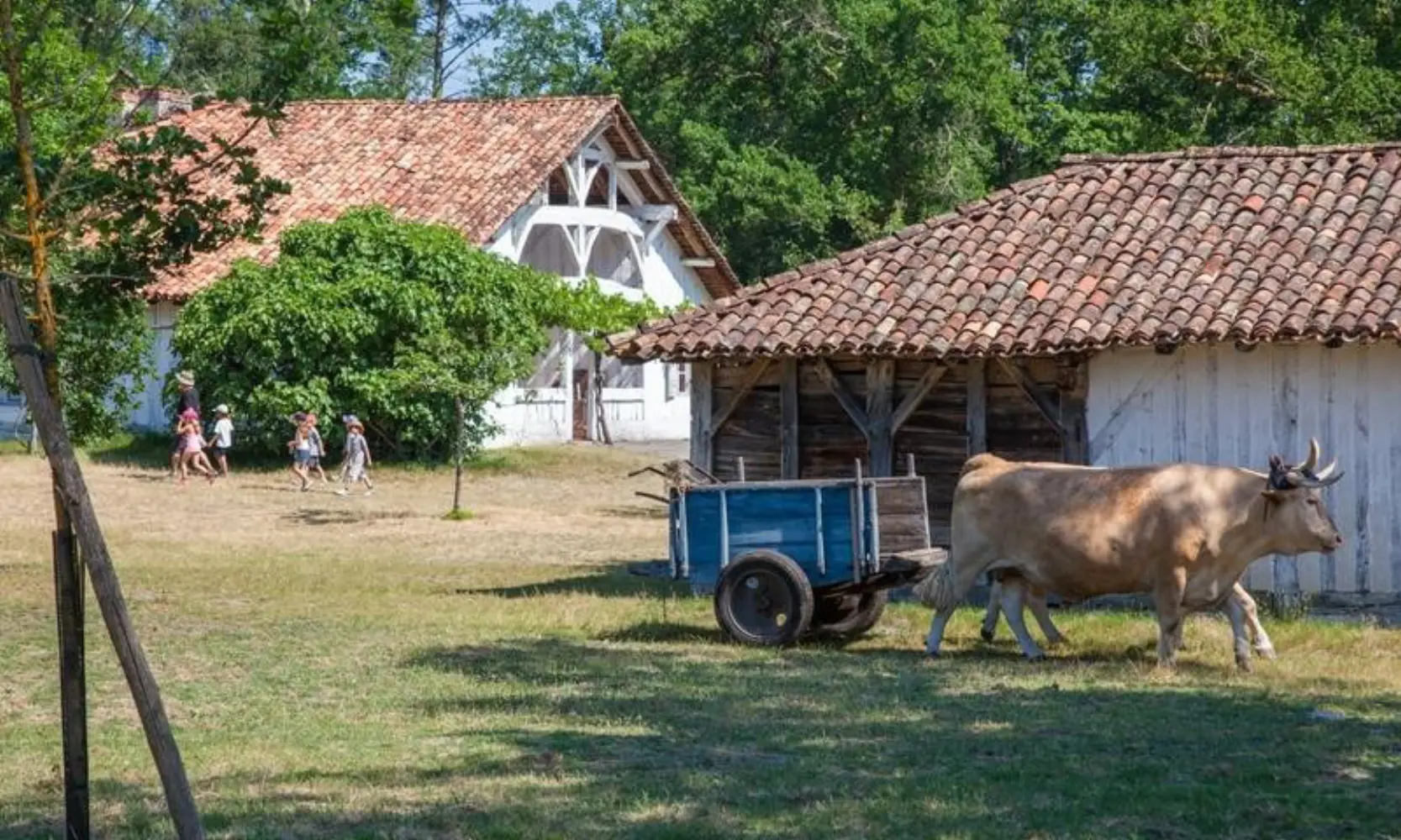 Maison de la Nature du Bassin d'Arcachon - Le Teich (Gironde)