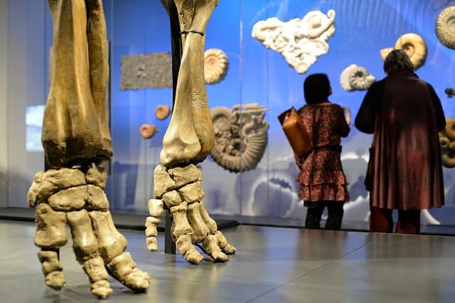 Visitez un lieu culturel inspirant - Lyon (Rhône)