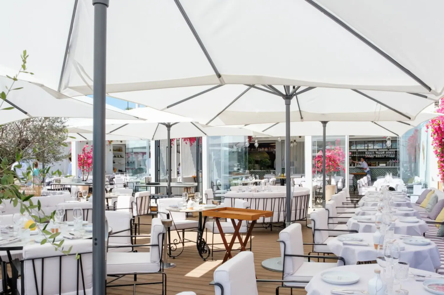 Ambrosia - Beaulieu-sur-Mer (Alpes-Maritimes)