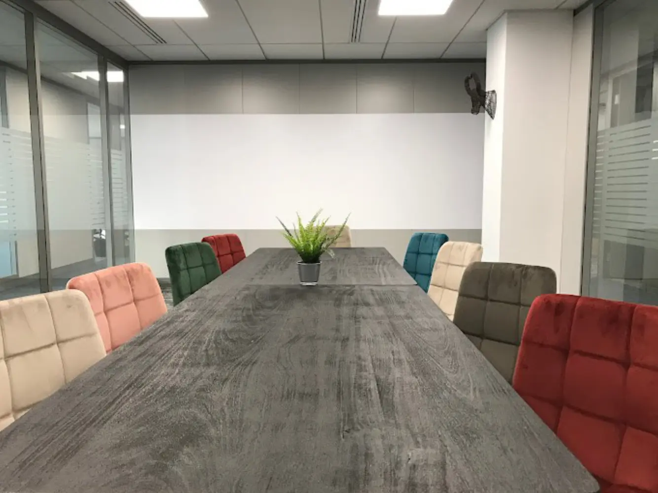 Mitwit Issy-les-Moulineaux - Issy-les-Moulineaux (Hauts-de-Seine)