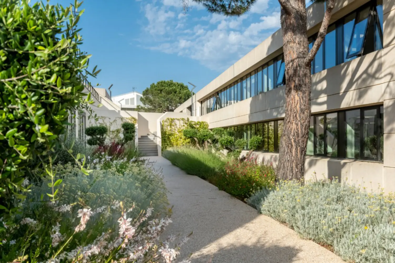 B'CoWorker Sophia Antipolis - Valbonne (Alpes-Maritimes)