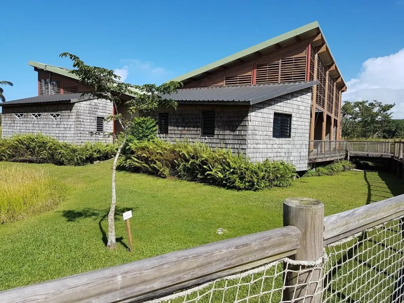 Taonaba Maison de la Mangrove - Les Abymes (Guadeloupe)