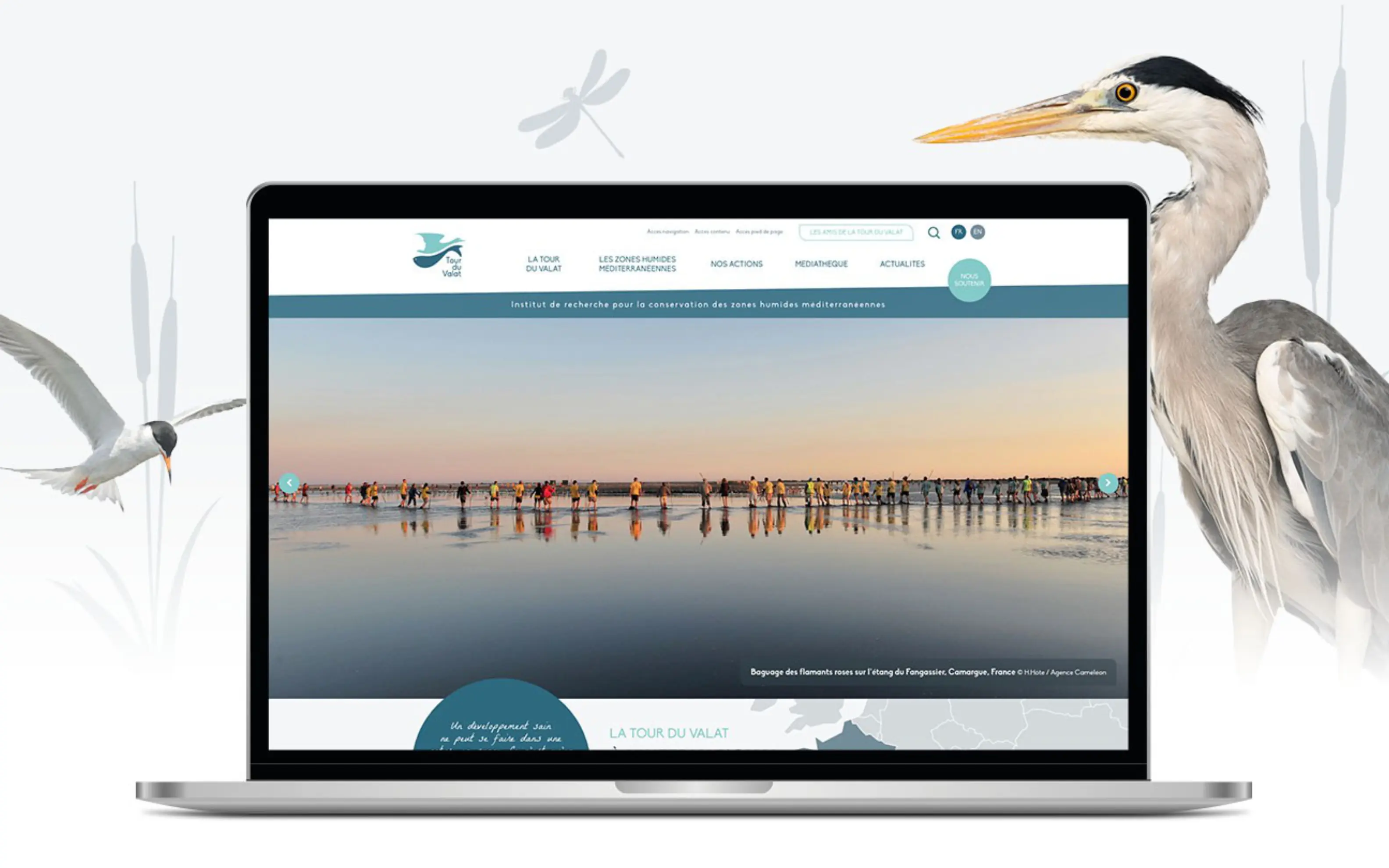 Canopée - MARTIGUES (Bouches-du-Rhône)