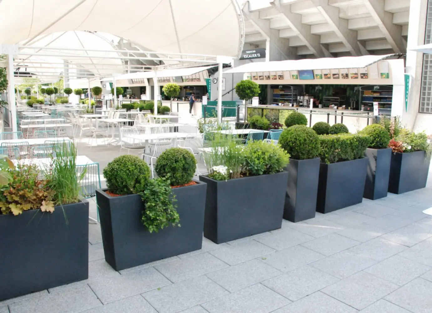 Atout Vert - NOISY-LE-ROI (Yvelines)