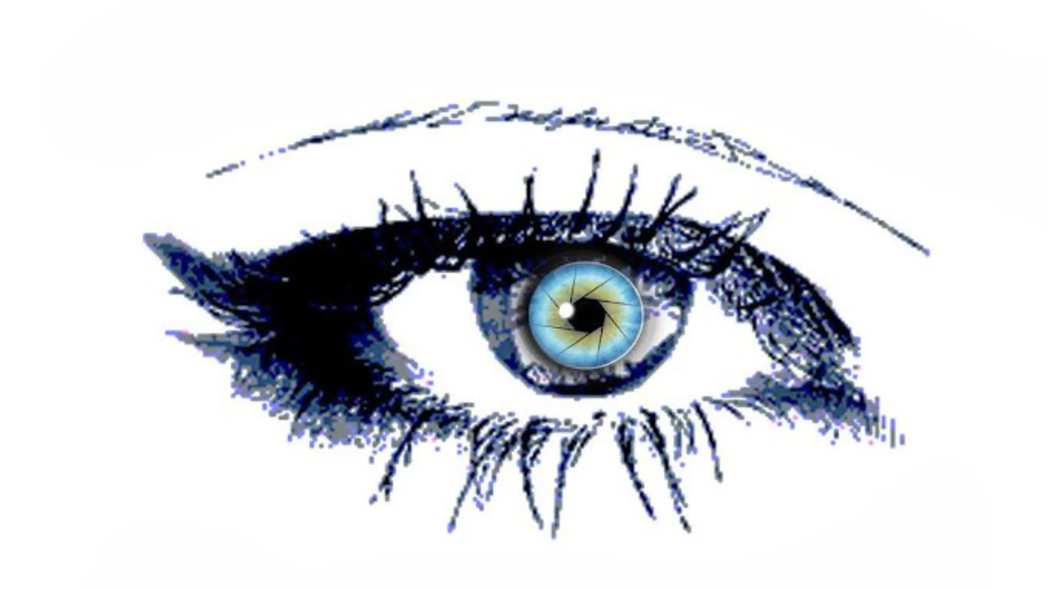 Clik Clak Photo - LE PRÉ SAINT GERVAIS (Seine-Saint-Denis)