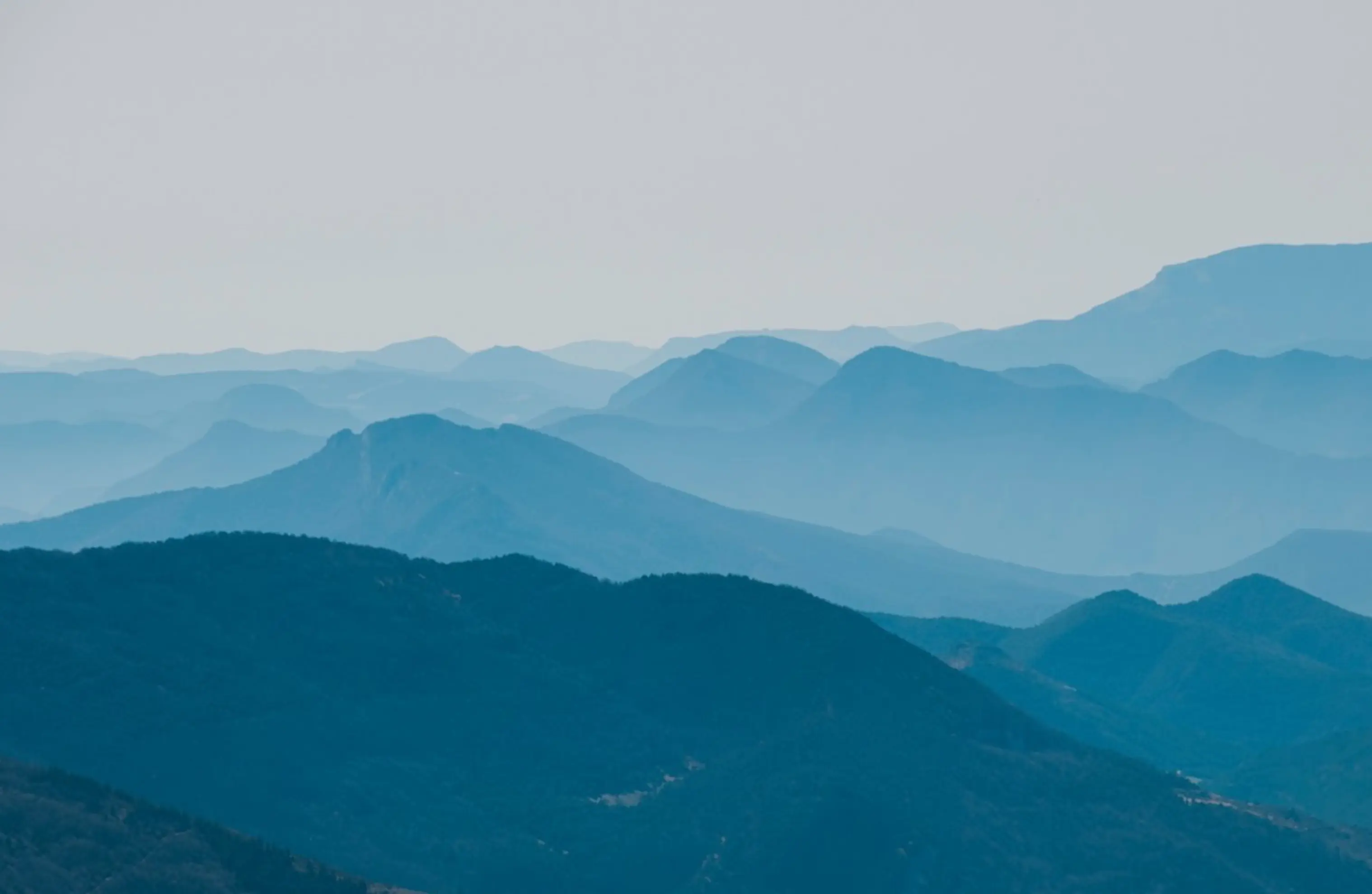 Blanchet Olivier - LA ROCHELLE (Charente-Maritime)