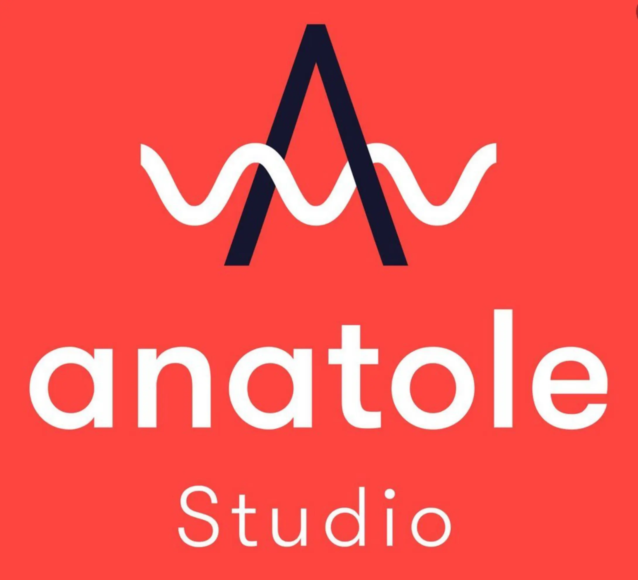 Studio Anatole - LYON (Rhône)