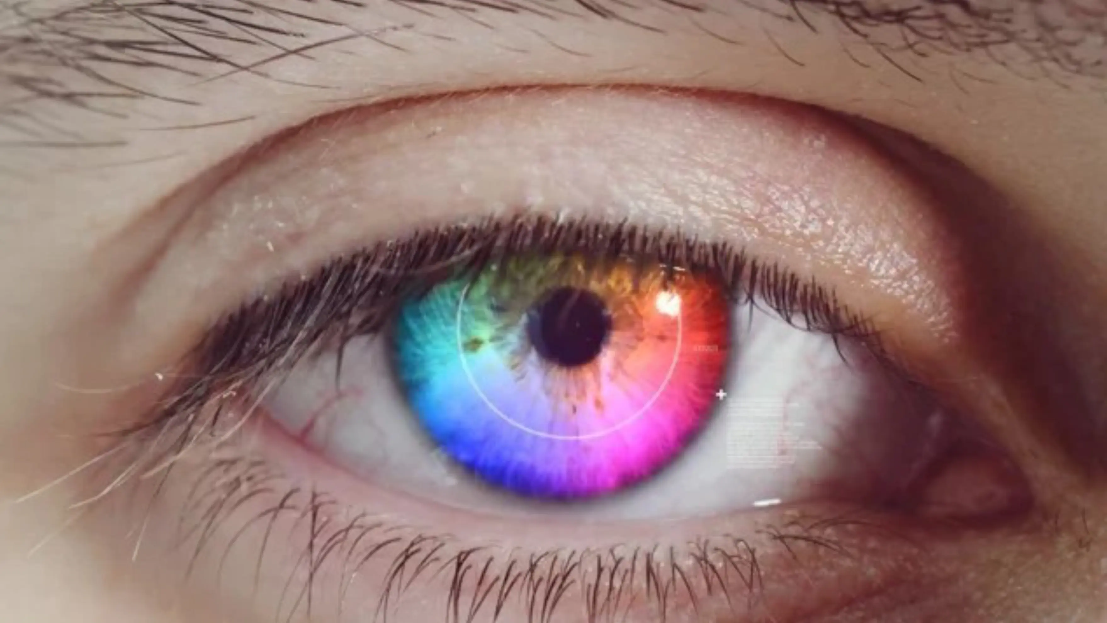 AV Factory - LE MANS (Sarthe)