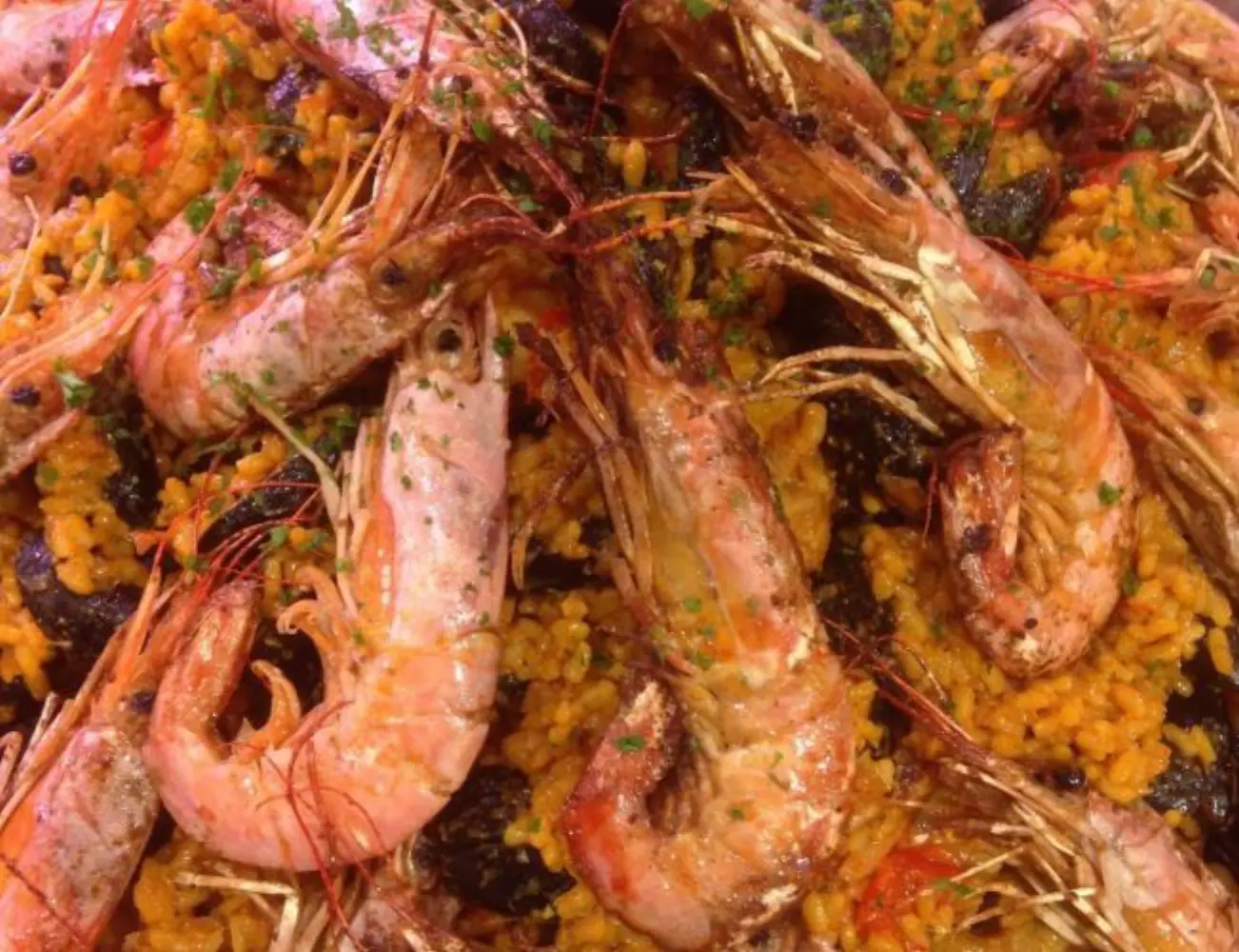 Loubatières Daniel - TOULOUSE (Haute-Garonne)