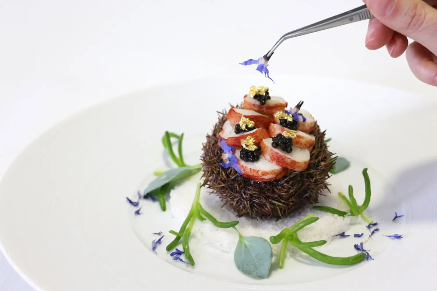 Autret Traiteur - SAINT OUEN L’AUMÔNE (Val-d'Oise)