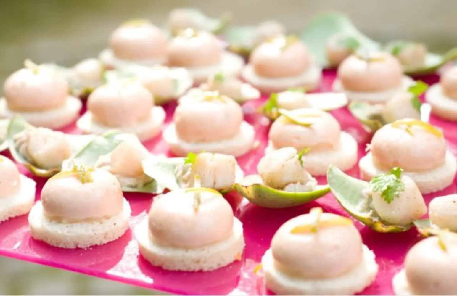 Edouard Set - AVESSAC (Loire-Atlantique)