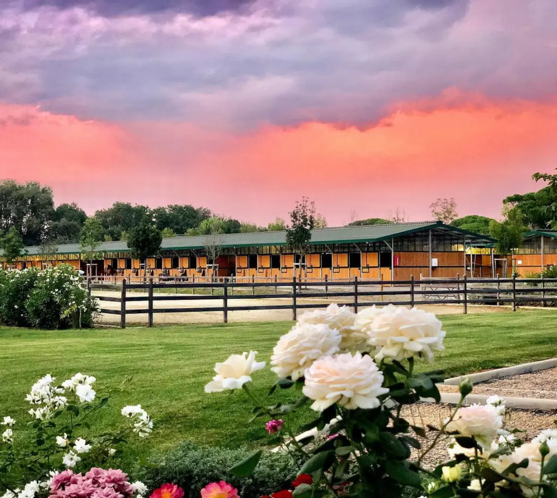 Polo Club Saint Tropez Haras de Gassin - Gassin (Var)