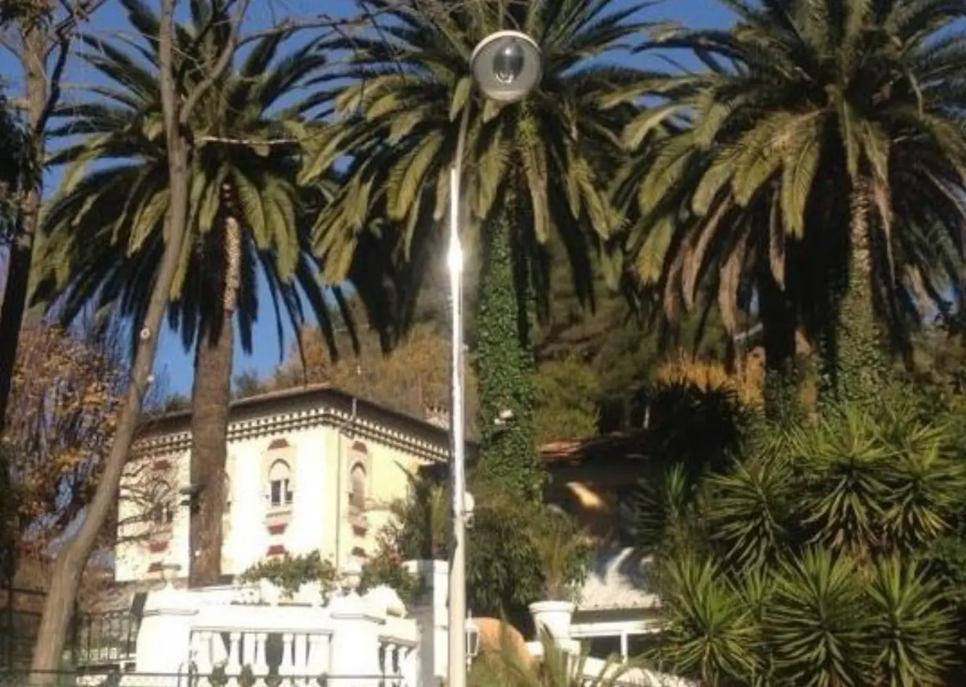 Restaurant Les Palmiers - NICE (Alpes-Maritimes)