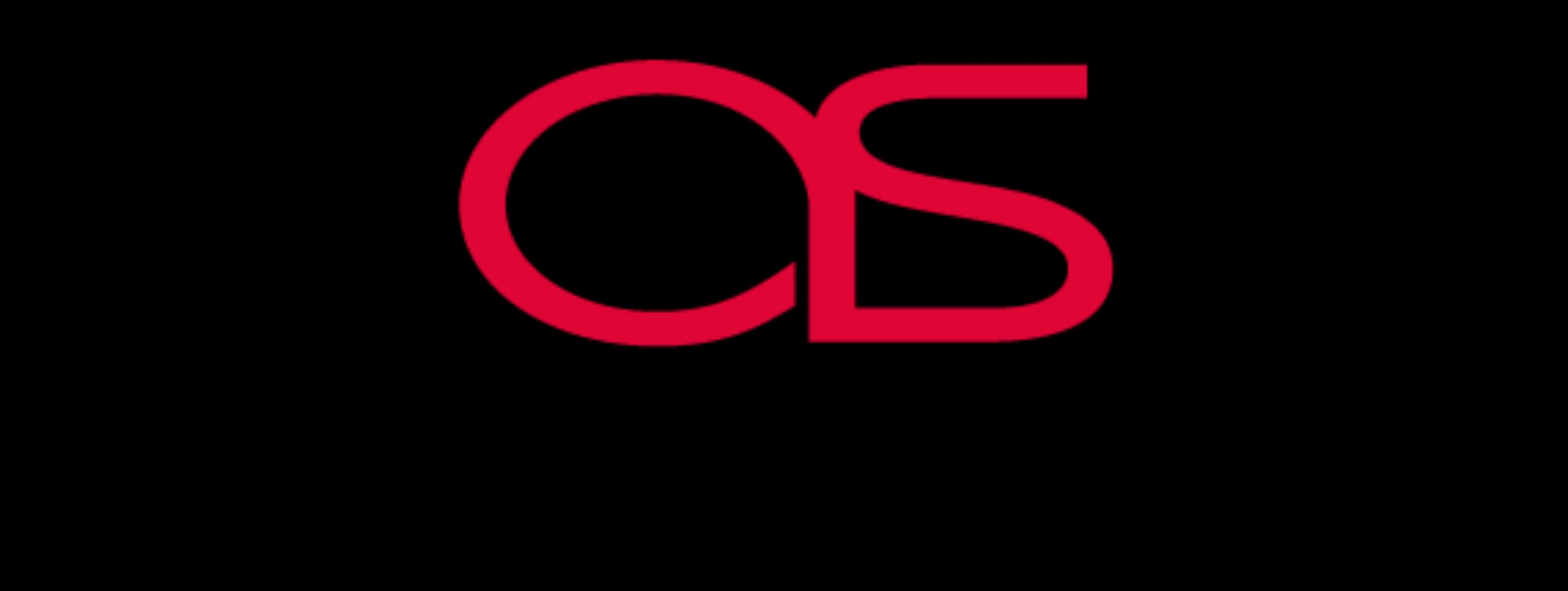 Axcess Sécurité - GEISPOLSHEIM (Bas-Rhin)