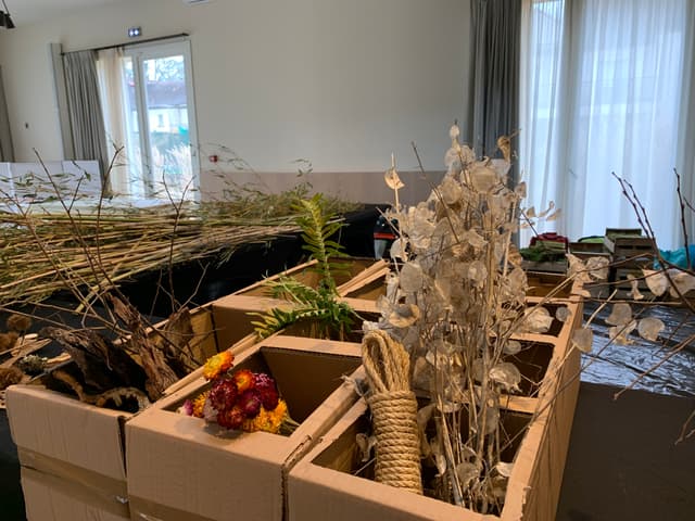 RSE - ST ANDRE DE MAJENCOULES (30)