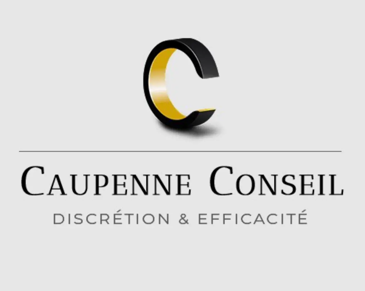 Caupenne Conseil     agence de formation - LISSES (Essonne)