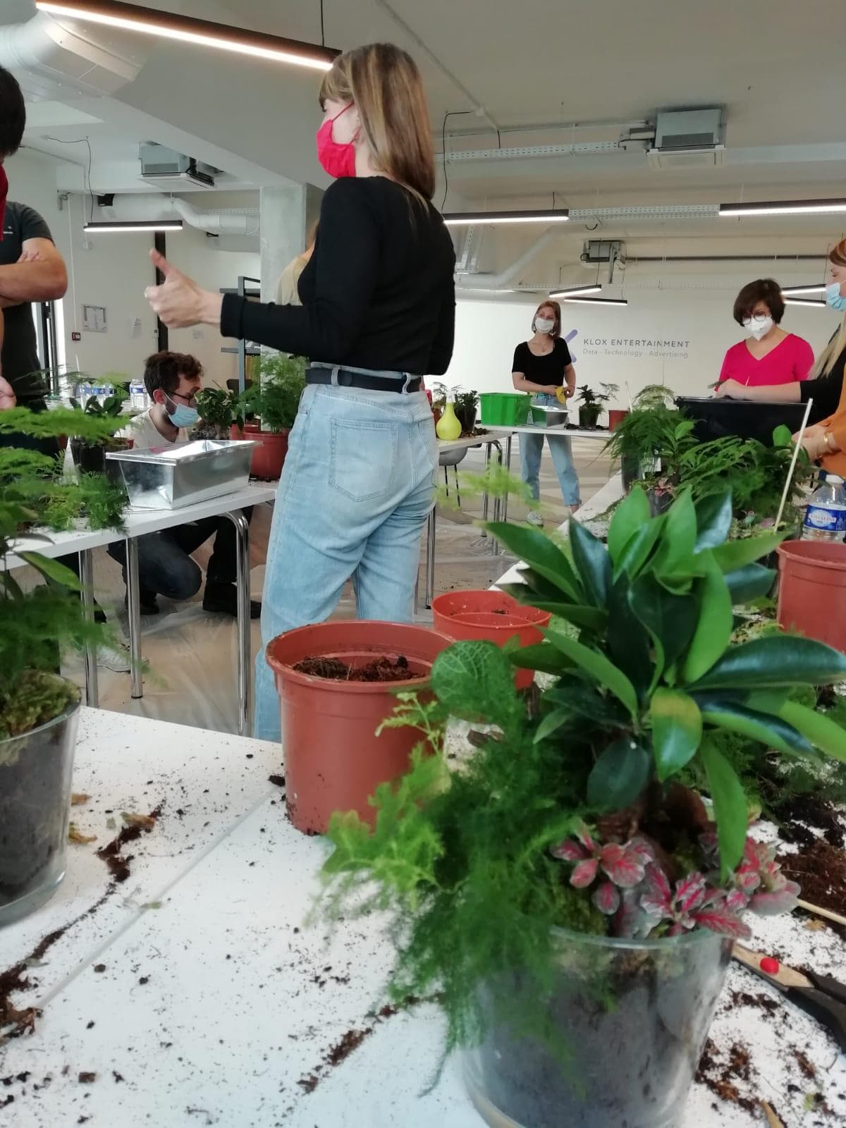 Image de l'activité Atelier Mini Jardin