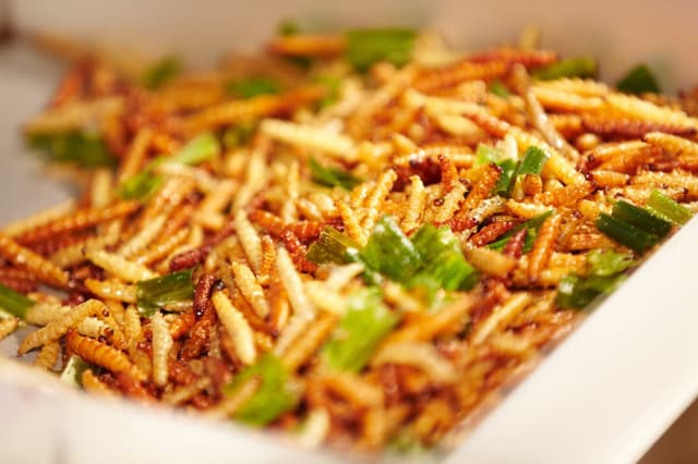 Manger des insectes - PARIS (Paris)