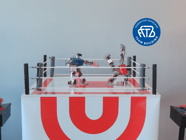 Robot Foot ou Boxe - PARIS (75)