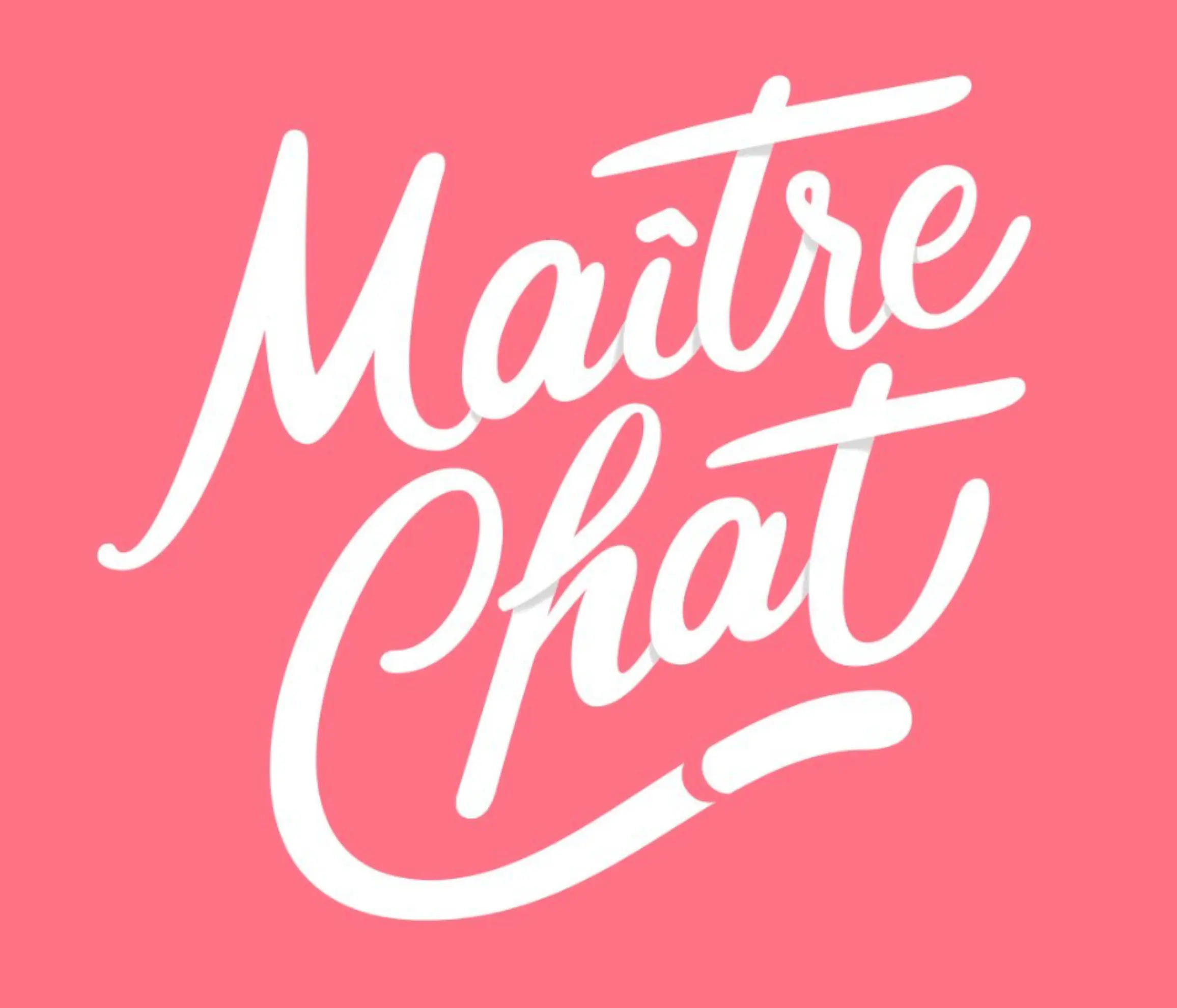 Maître Chat - LYON (Rhône)