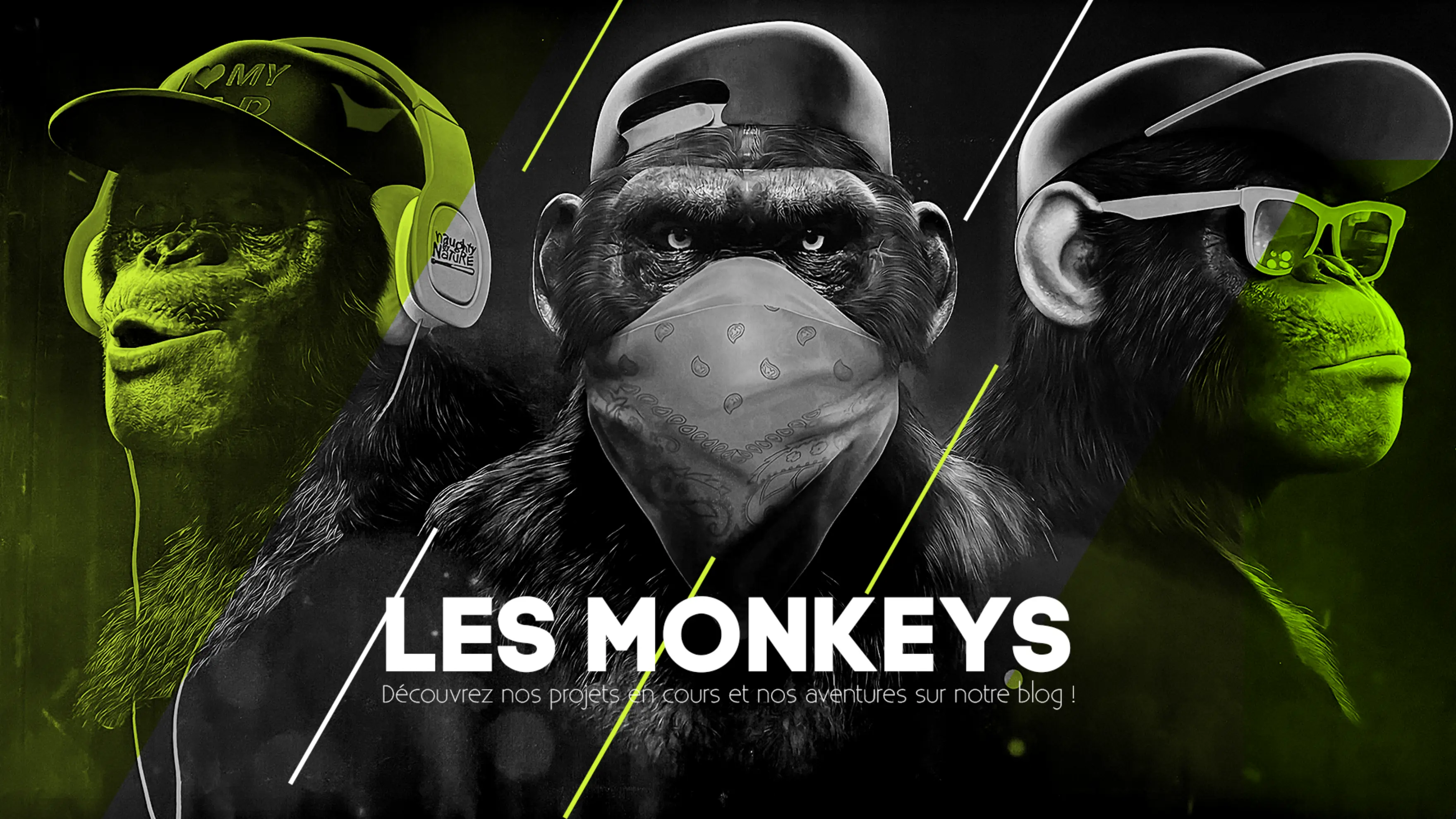 Monkey Mirror - LIMONEST (Rhône)