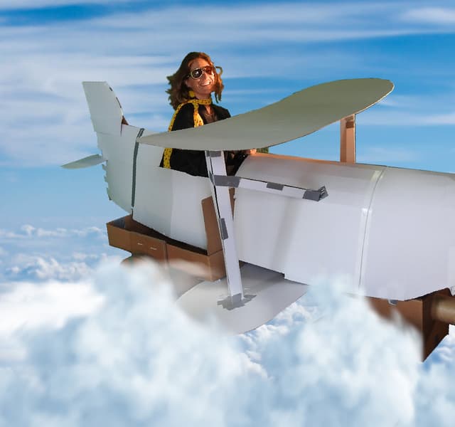 Avion qui cartonne - VILLENAVE-D'ORNON (33)