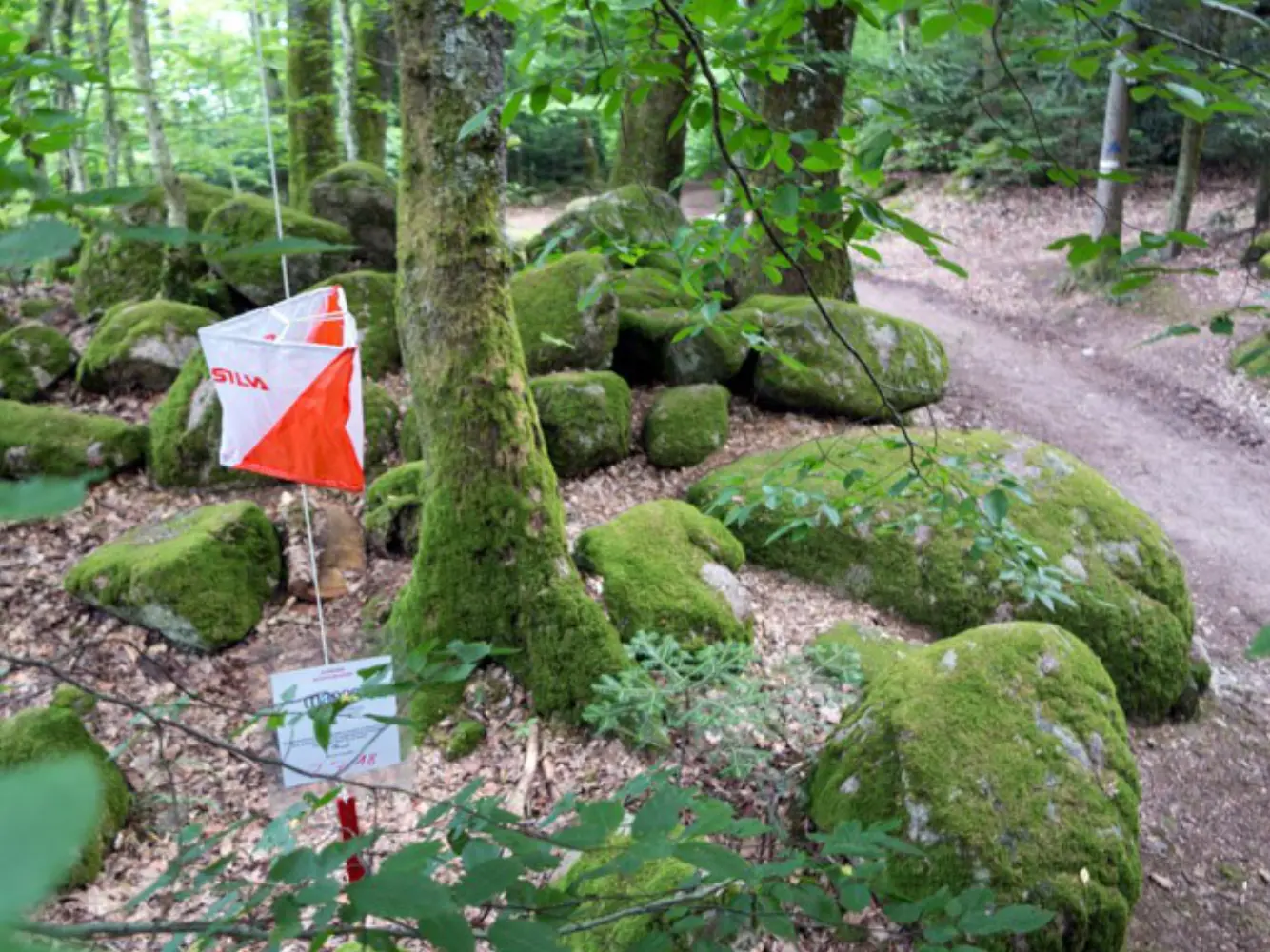 Maorn - EPFIG (Bas-Rhin)