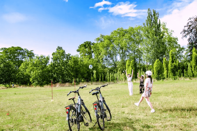 Les rallyes & jeux - LYON (69)