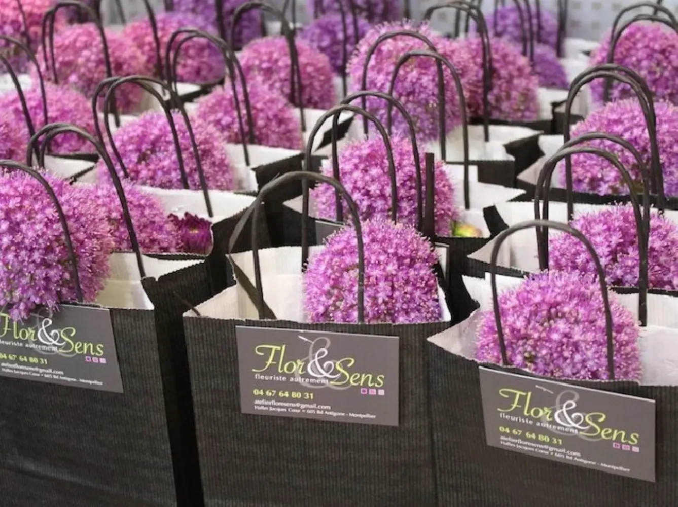 Flor et Sens - MONTPELLIER (Hérault)