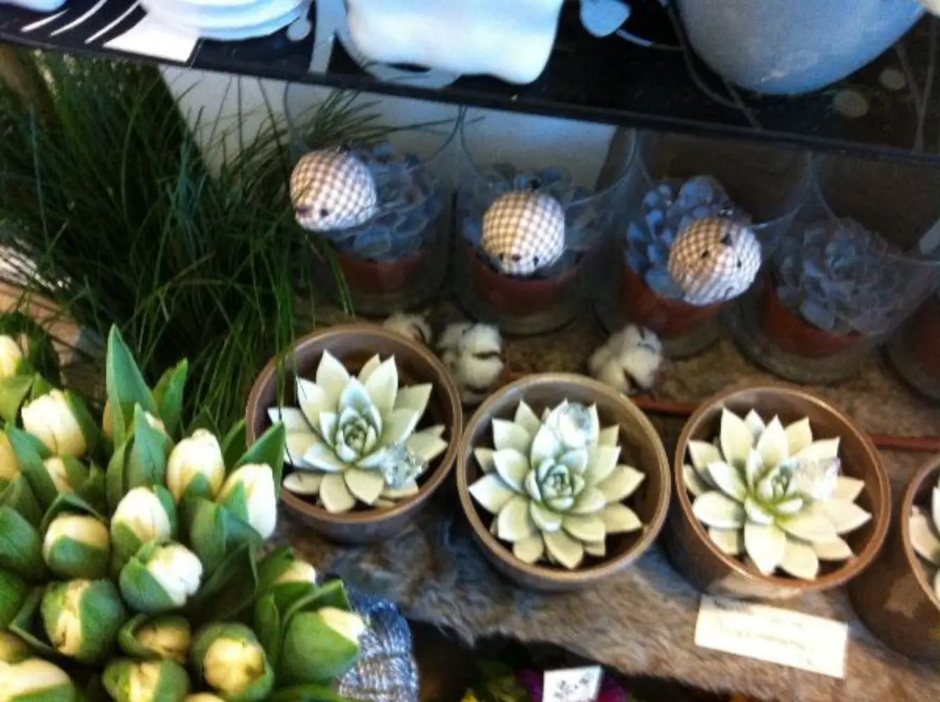 L'Etang Fleuri - VERT-LE-PETIT (Essonne)