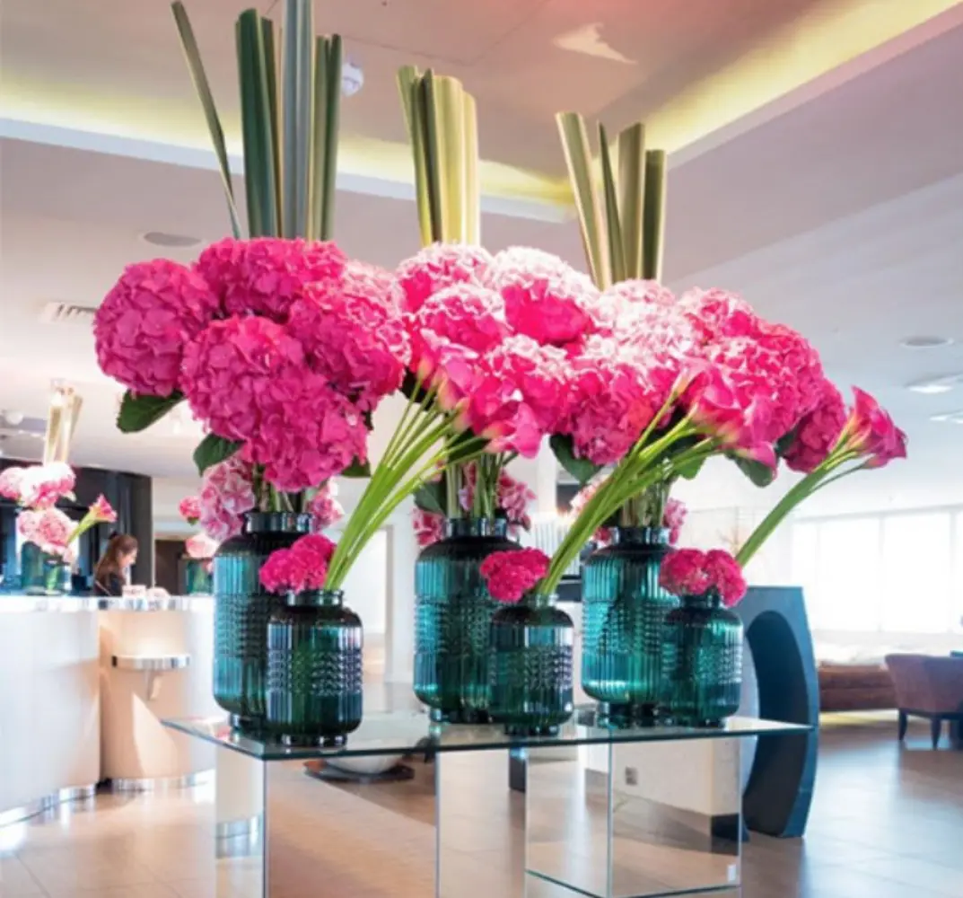 Canopea Design - MARSEILLE (Bouches-du-Rhône)