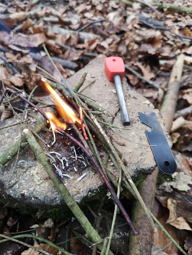 7 pour survivre - Poitiers - TOURS (Indre-et-Loire)