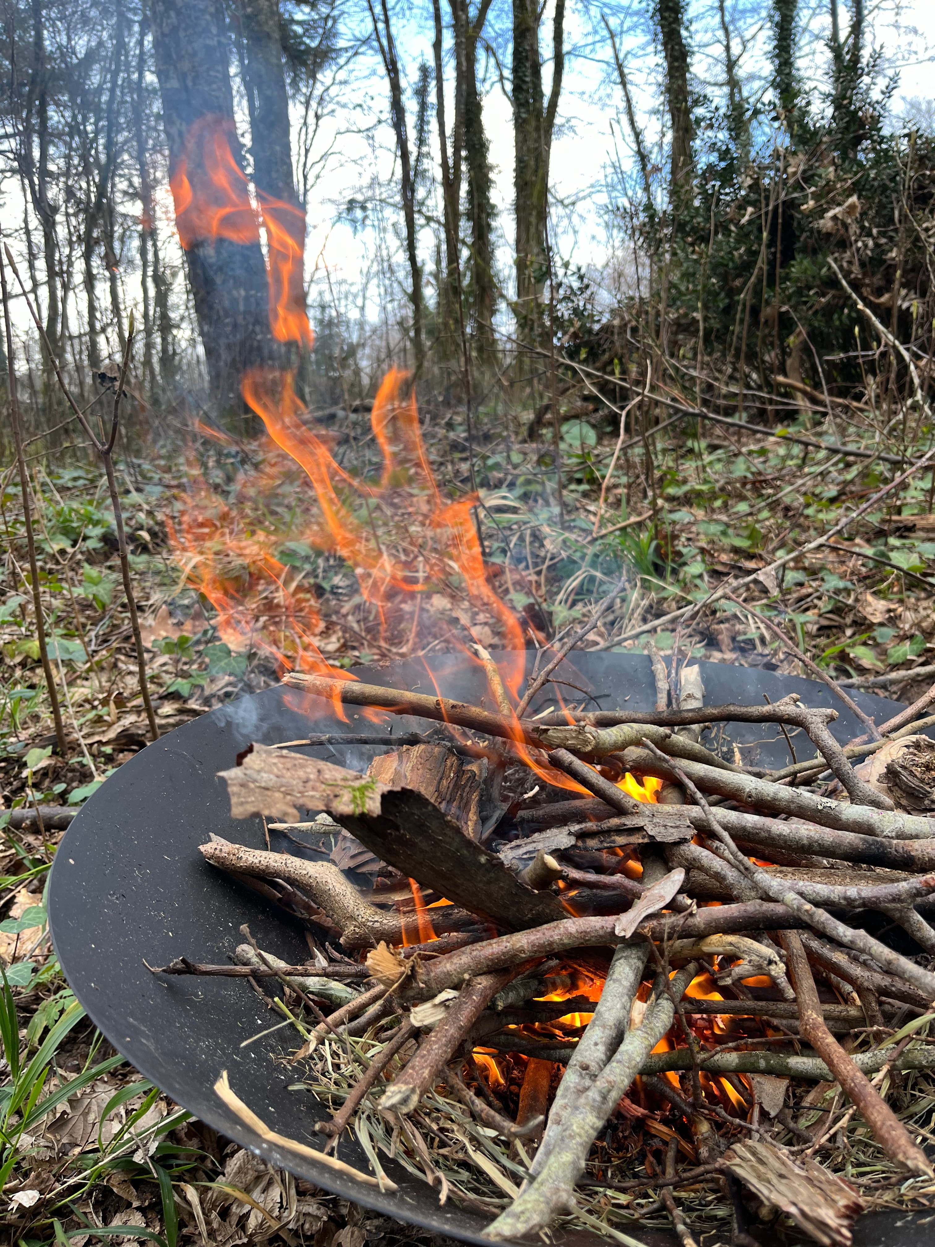 Image de l'activité 7 pour survivre - Chartres
