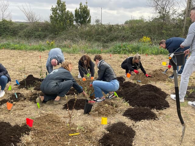 Le Jardin de Demain ! - BONREPOS-SUR-AUSSONNELLE (31)
