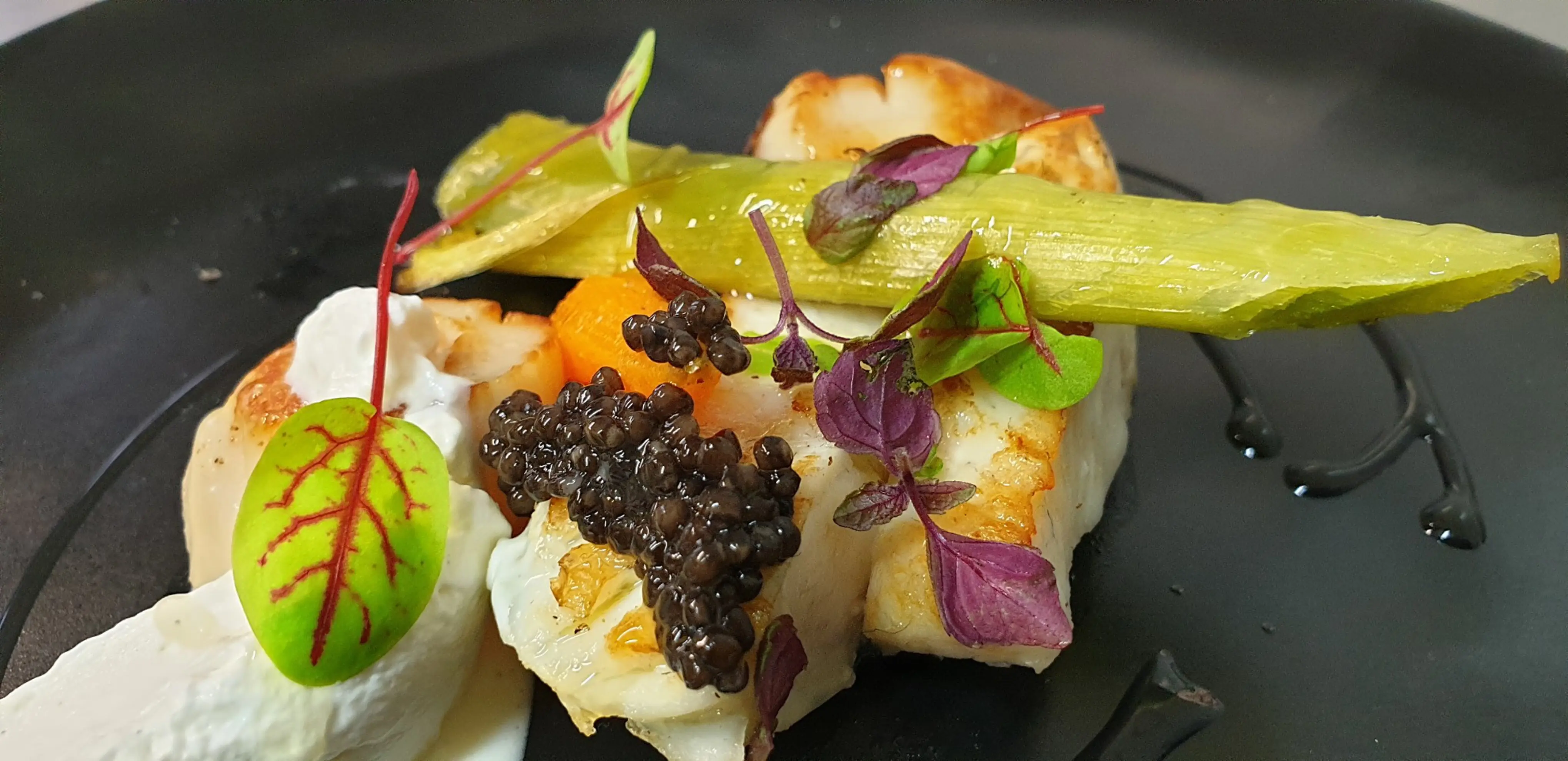 DMP Traiteur - REIMS (Marne)