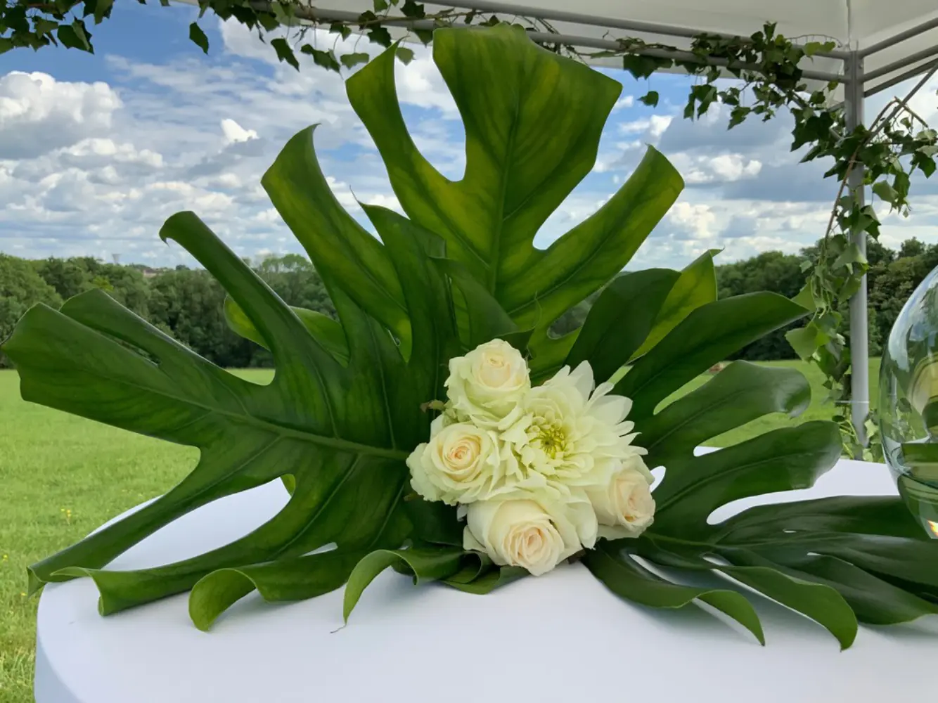 Cataleya Décoration - MOISSY-CRAMAYEL (Seine-et-Marne)