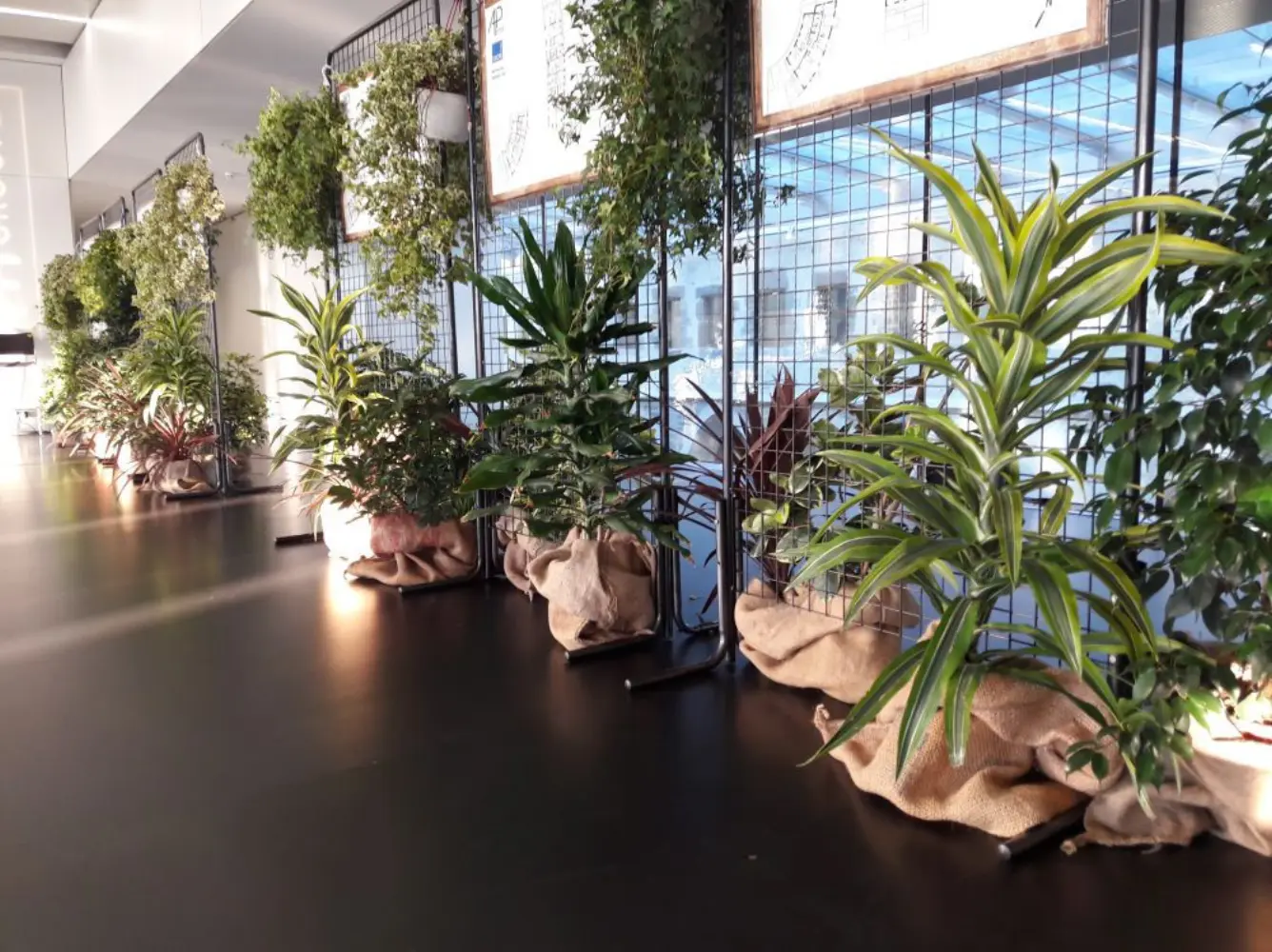 Alix Laurent - CORPS-NUDS (Ille-et-Vilaine)