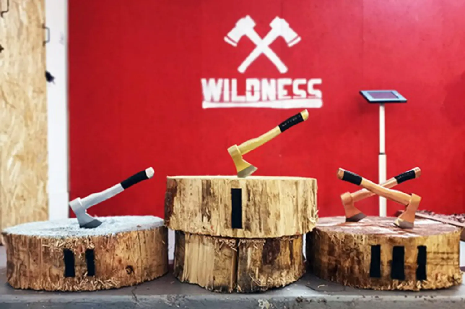 Wildness Nancy - NANCY (Meurthe-et-Moselle)